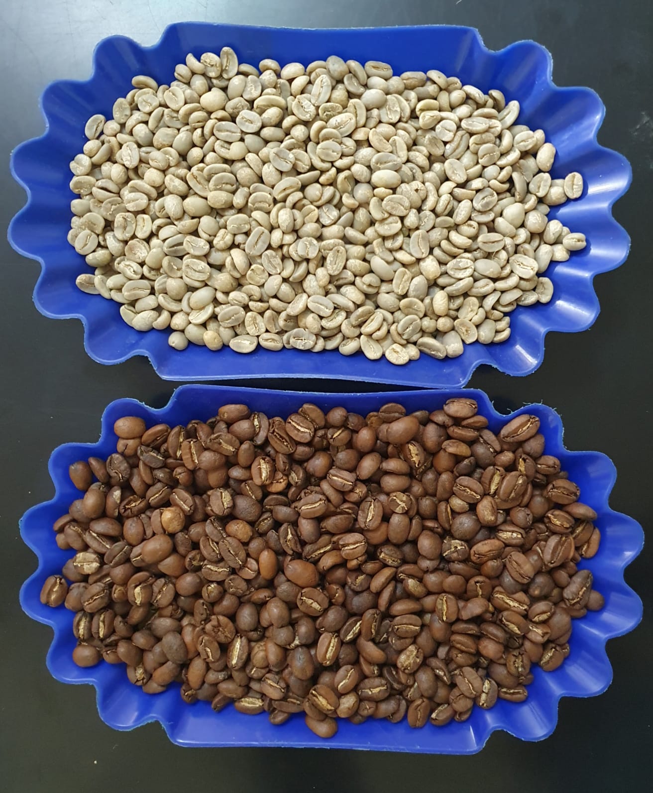 0a51cb5f-3e3e-4491-be15-01a74319720f