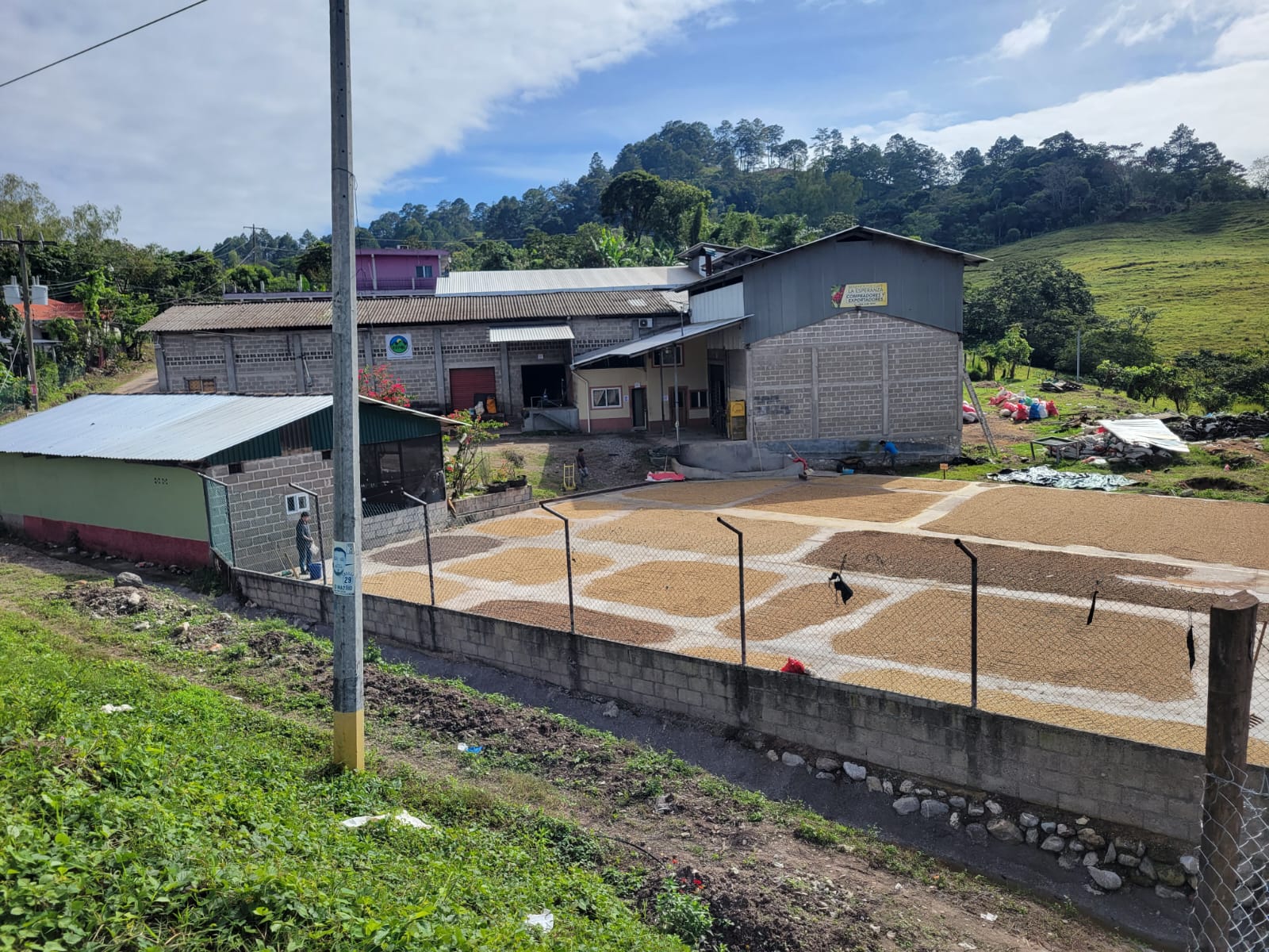 45a4856d-d7fe-410b-aa07-33a1480a256f