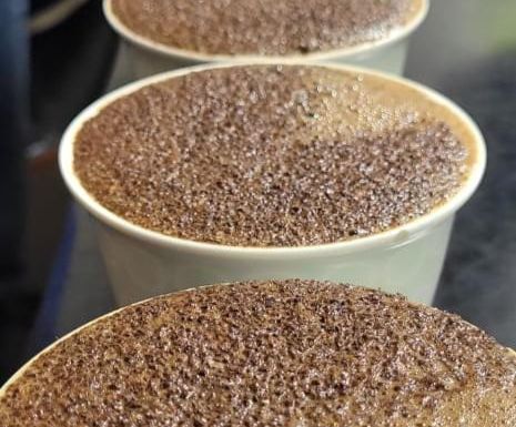 WhatsApp Image 2023-06-19 at 11.33.37 PM