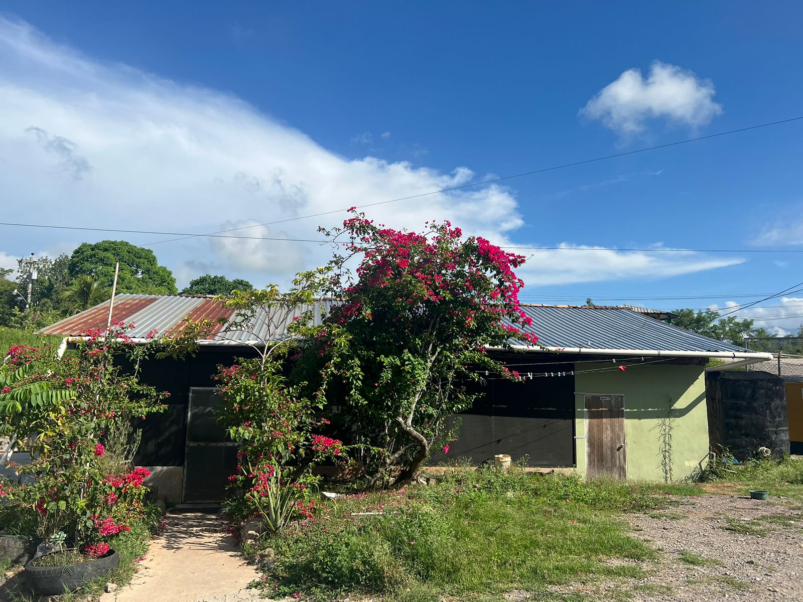 WhatsApp Image 2023-06-19 at 11.41.52 PM