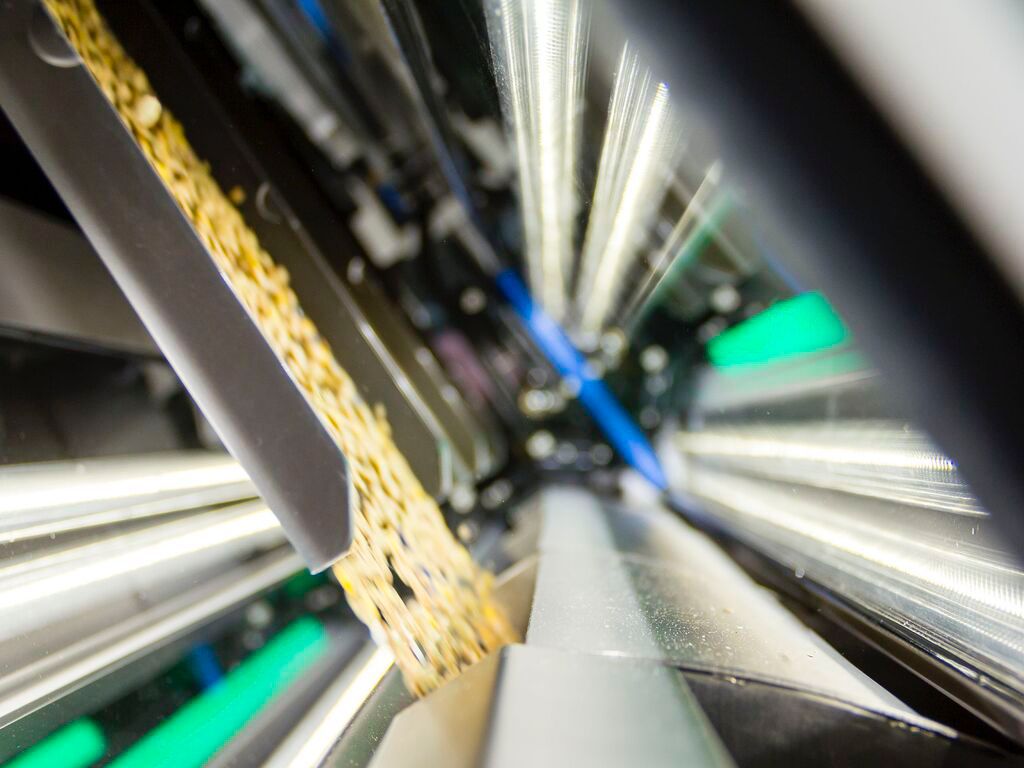 WhatsApp Image 2023-06-20 at 11.35.26 AM