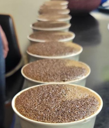 WhatsApp Image 2023-06-20 at 11.42.55 AM