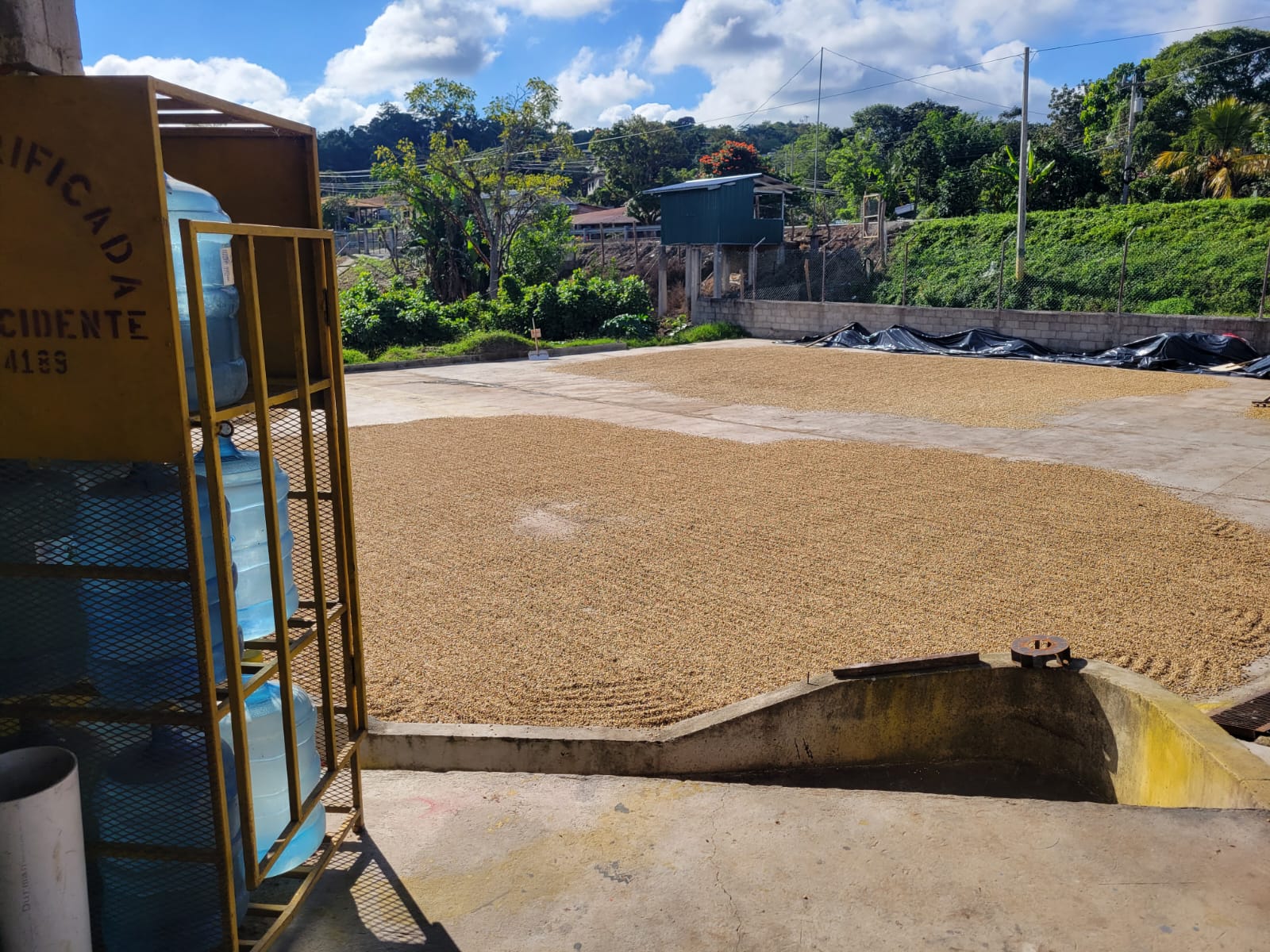 d9a7c116-9539-49b6-a709-807d03c6f4bb